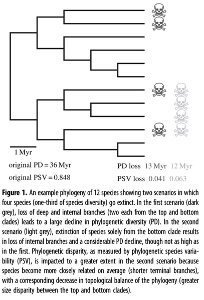 Danwei and Roy 2015 Future of evol diversity in coral reefs pdf  page 2 of 11